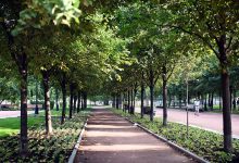 Photo of Зеленые зоны и скверы города