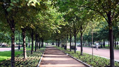 Photo of Зеленые зоны и скверы города