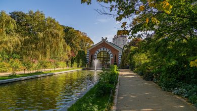 Photo of Аптекарский проспект: природный оазис