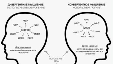Photo of Функциональность и креативность в одном пространстве